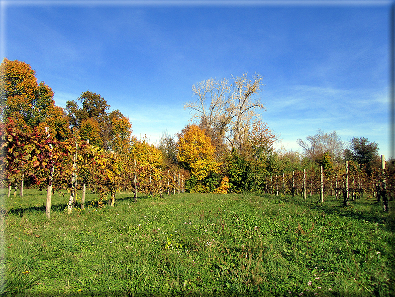 foto Alle pendici del Monte Grappa in Autunno